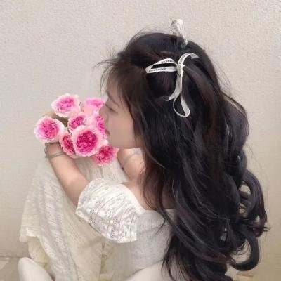 银幕上的展览：塞尚 海报